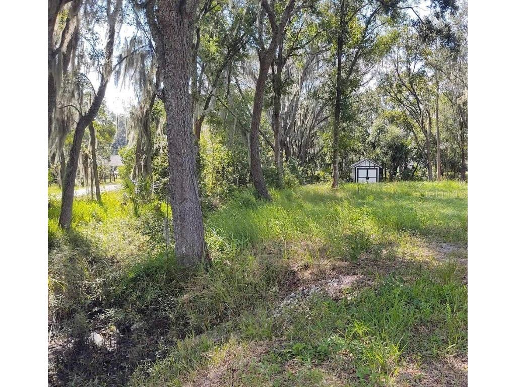 2590 Hawk Griffin Road Plant City FL 33565 R4908354 image1