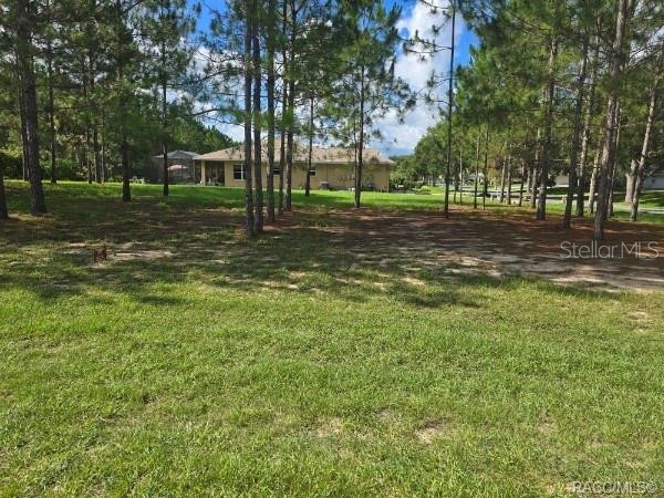 2590 N Brentwood Circle Lecanto FL 34461 OM728301 image1