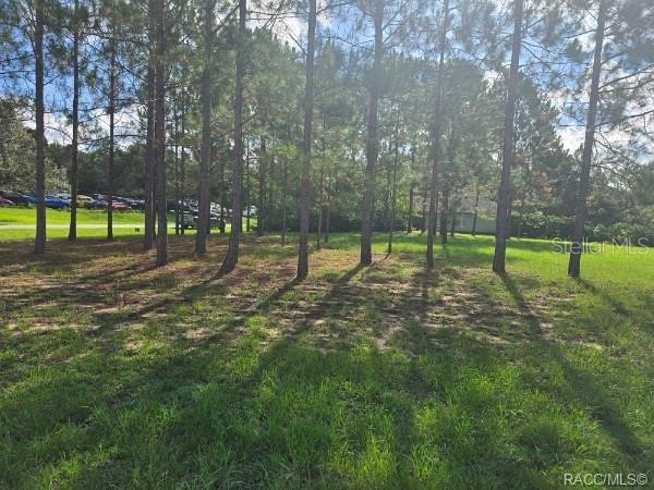2590 N Brentwood Circle Lecanto FL 34461 OM728301 image3
