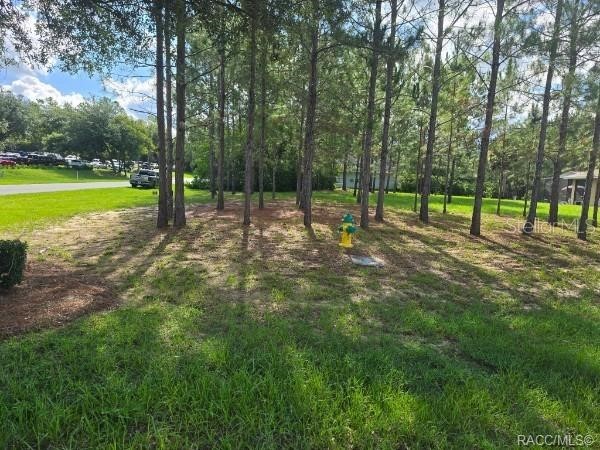 2590 N Brentwood Circle Lecanto FL 34461 OM728301 image4