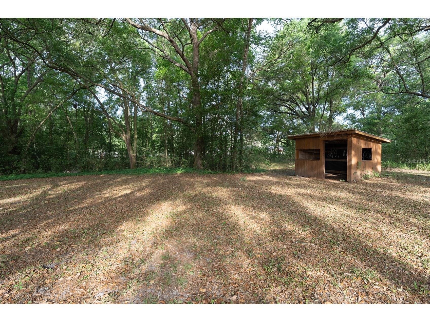 2590 NE 167th Avenue Williston FL 32696 OM722001 image40