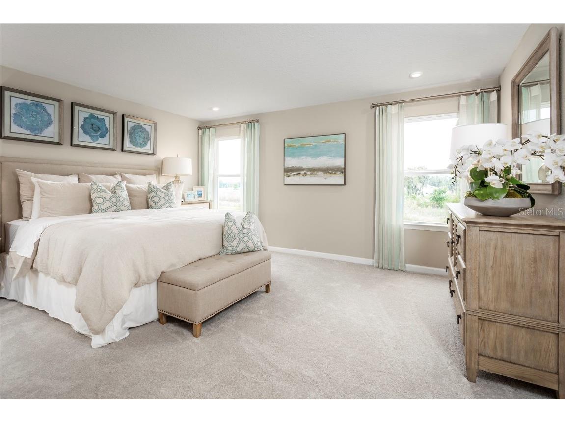 2590 Scenic Park Loop Wimauma FL 33598 W7880657 image11