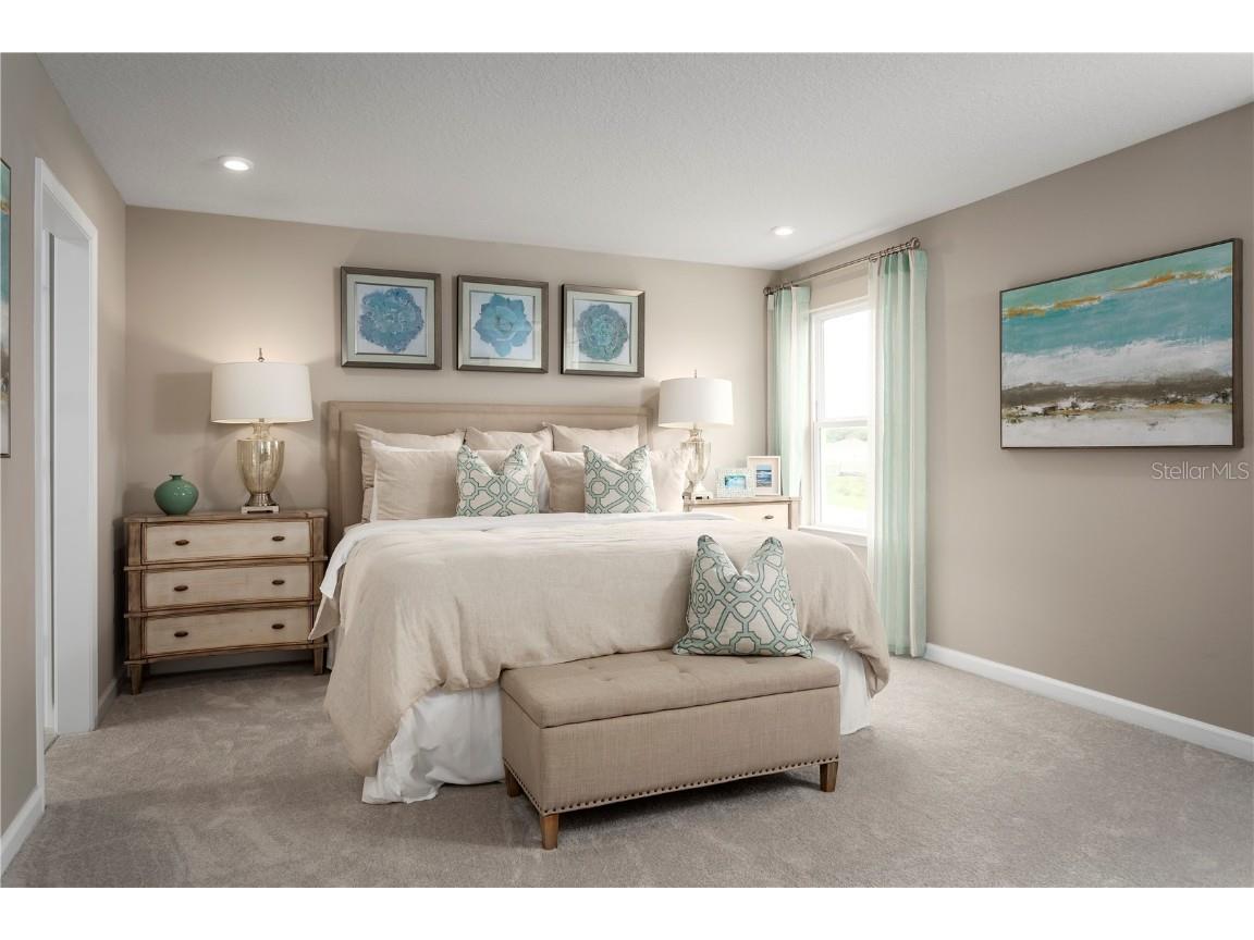 2590 Scenic Park Loop Wimauma FL 33598 W7880657 image13