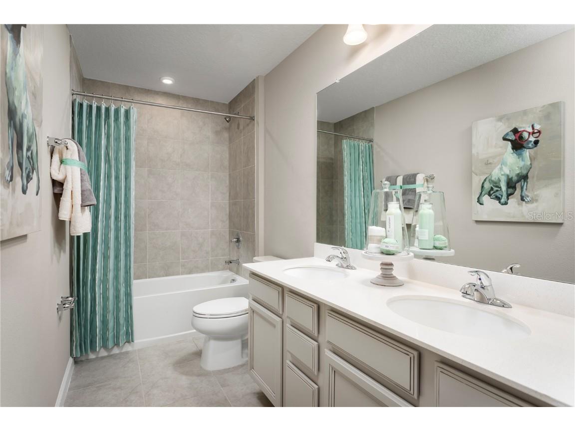 2590 Scenic Park Loop Wimauma FL 33598 W7880657 image17