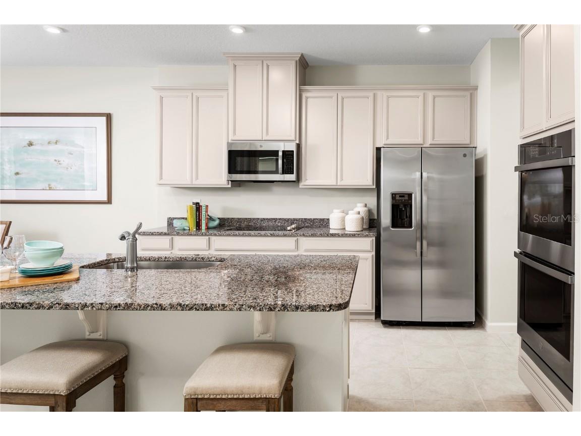 2590 Scenic Park Loop Wimauma FL 33598 W7880657 image8