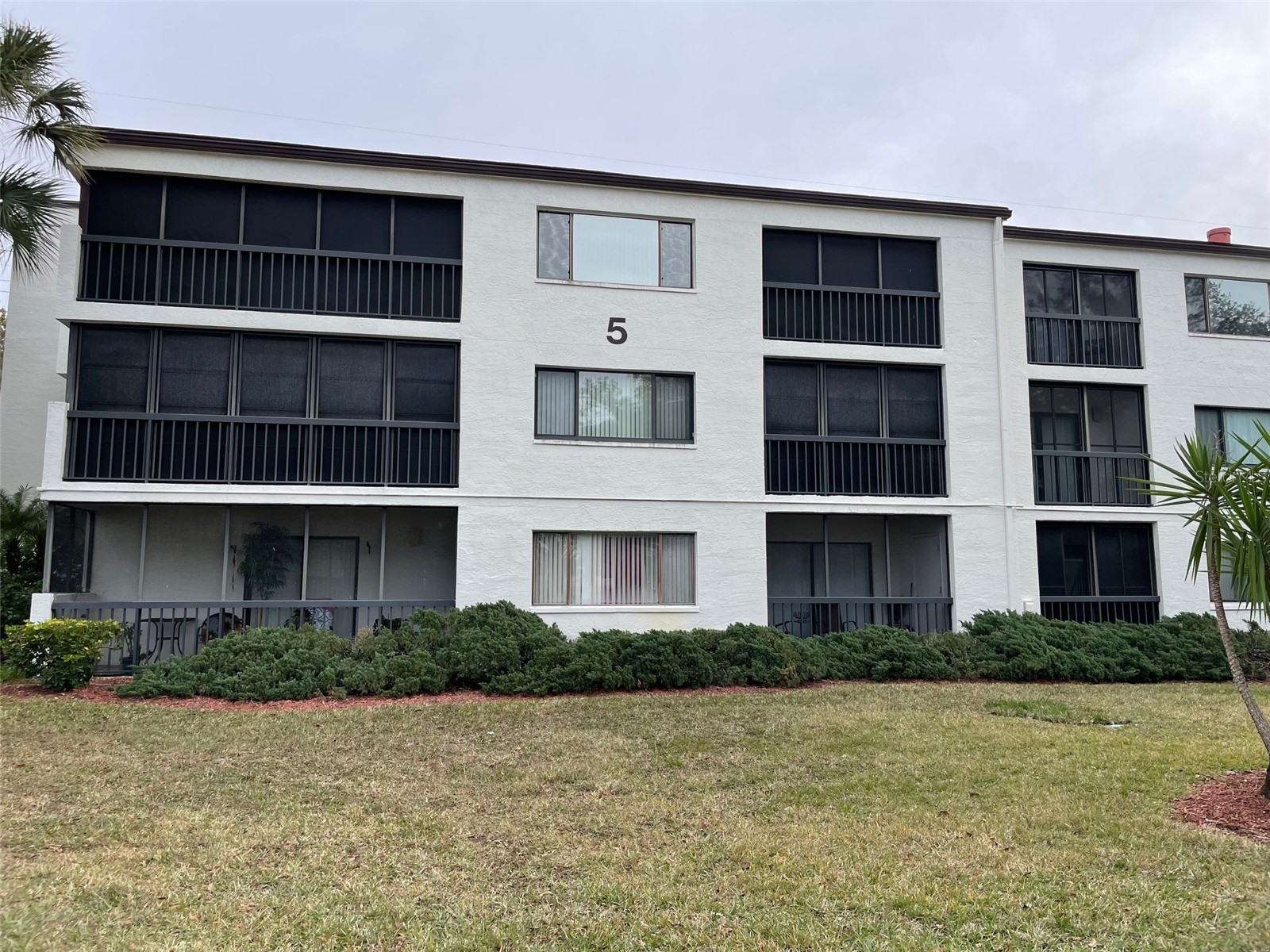 2591 Countryside Boulevard #5203 Clearwater FL 33761 TB8485406 image20