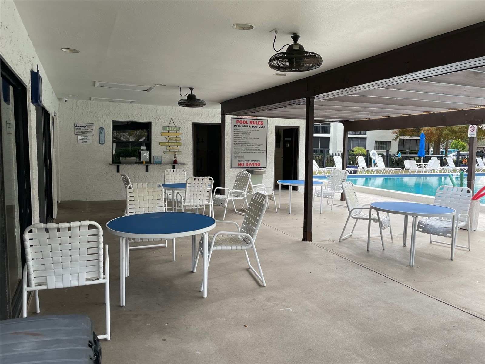 2591 Countryside Boulevard #5203 Clearwater FL 33761 TB8485406 image21
