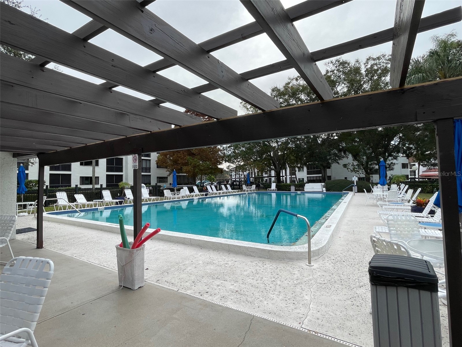 2591 Countryside Boulevard #5203 Clearwater FL 33761 TB8485406 image22