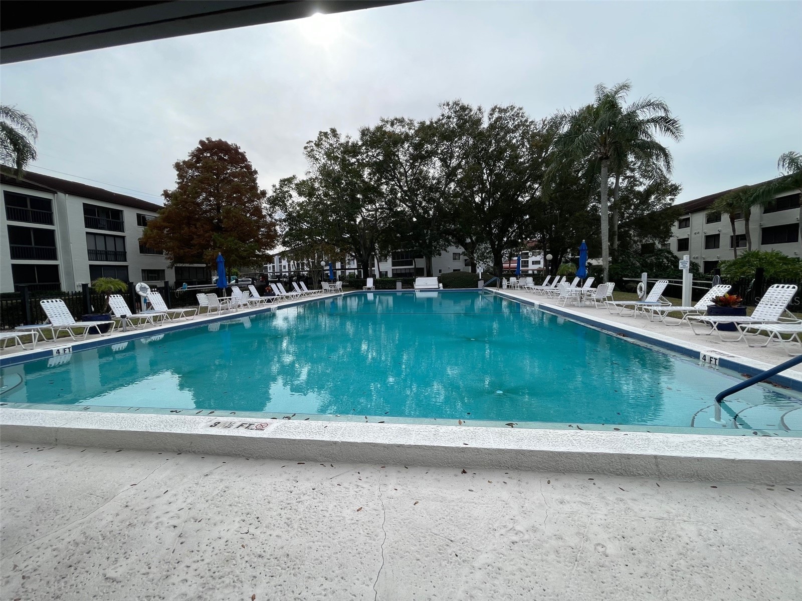 2591 Countryside Boulevard #5203 Clearwater FL 33761 TB8485406 image25