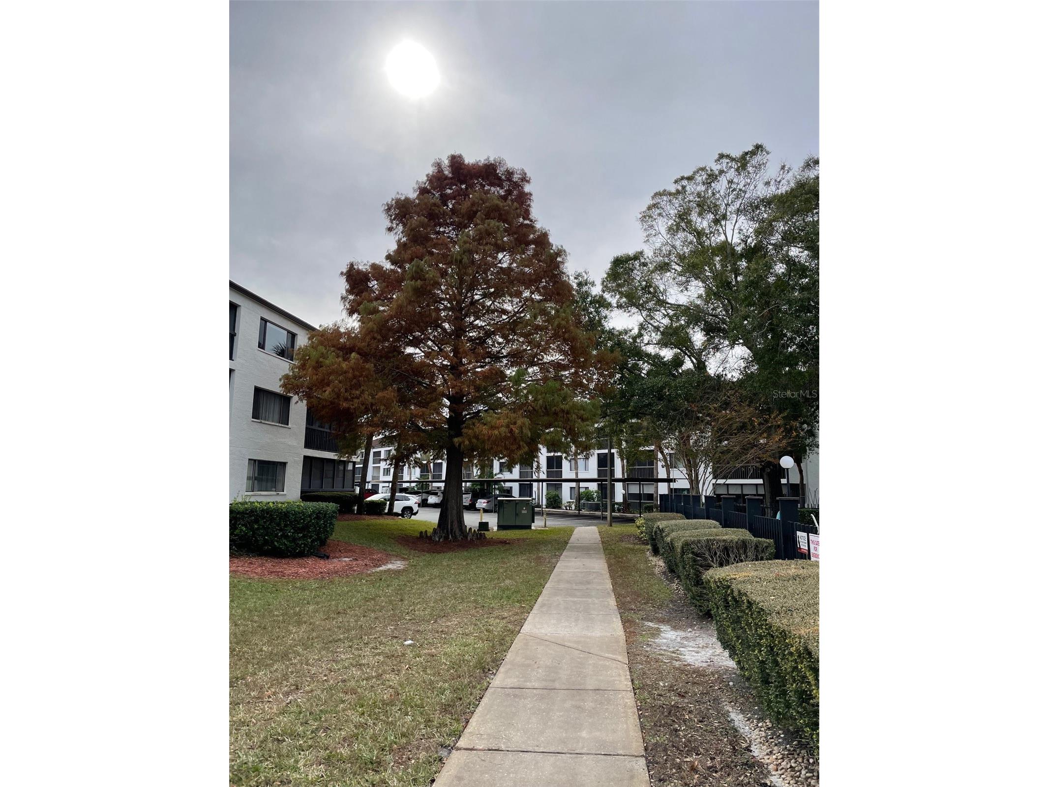 2591 Countryside Boulevard #5203 Clearwater FL 33761 TB8485406 image26