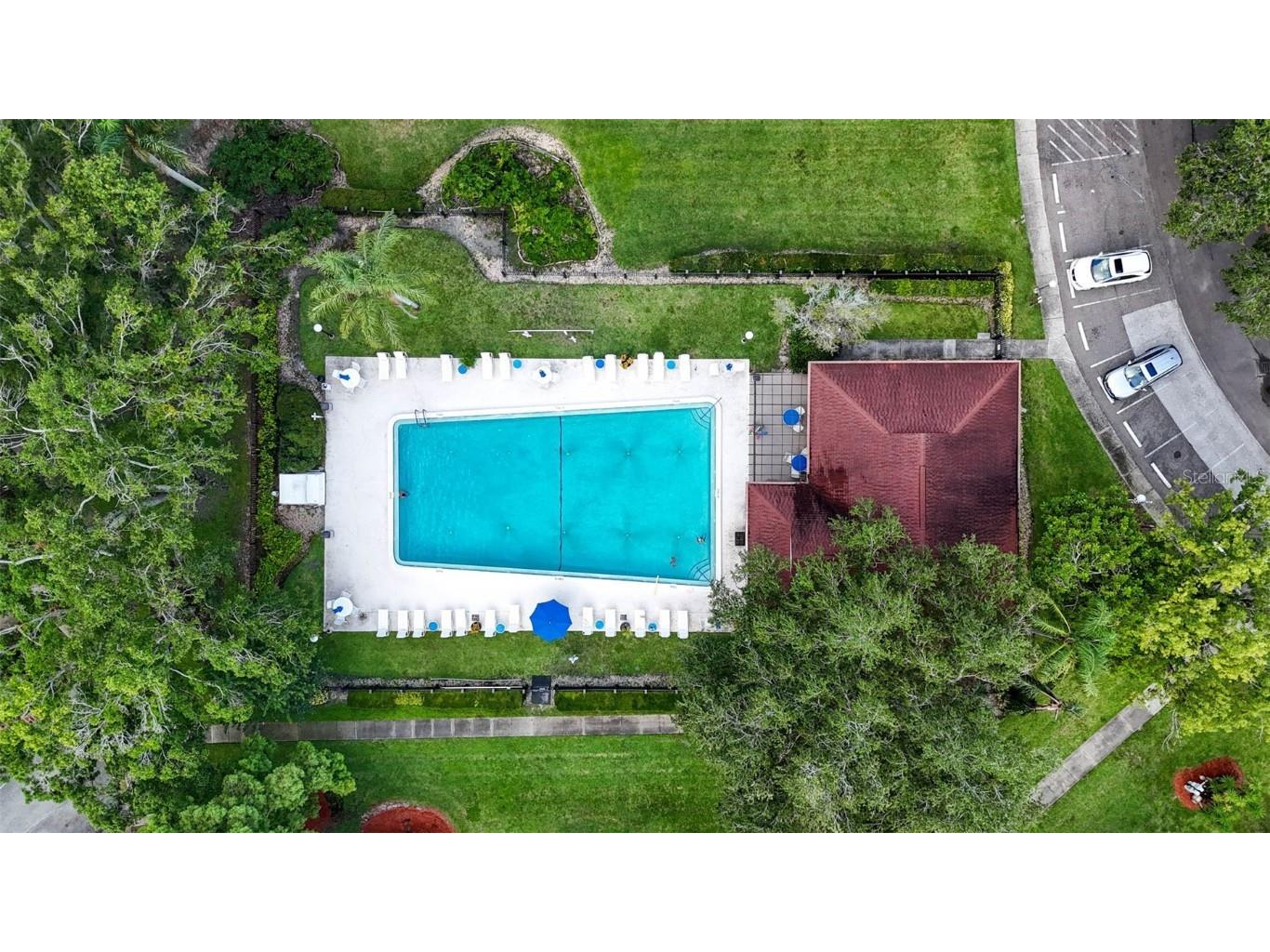 2591 Countryside Boulevard #5304 Clearwater FL 33761 TB8403086 image42