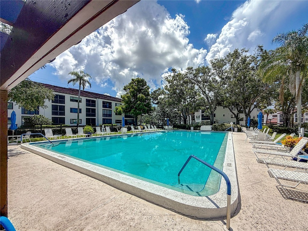 2591 Countryside Boulevard #5308 Clearwater FL 33761 O6337954 image54