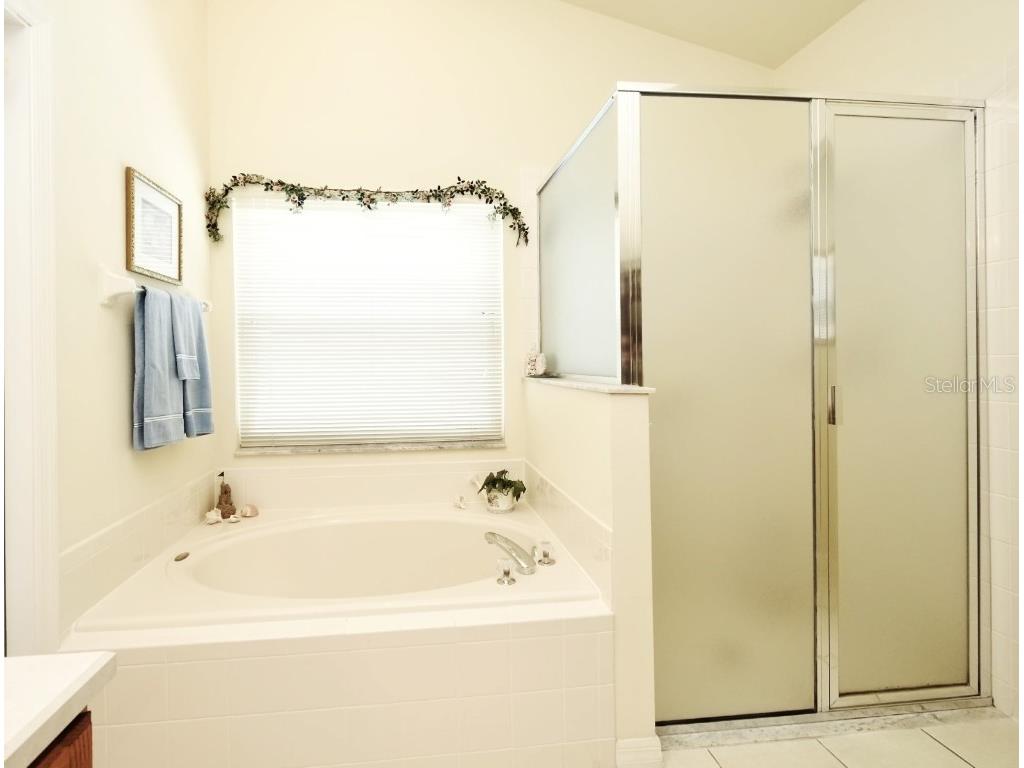 2591 Oneida Loop Kissimmee FL 34747 S5129525 image33