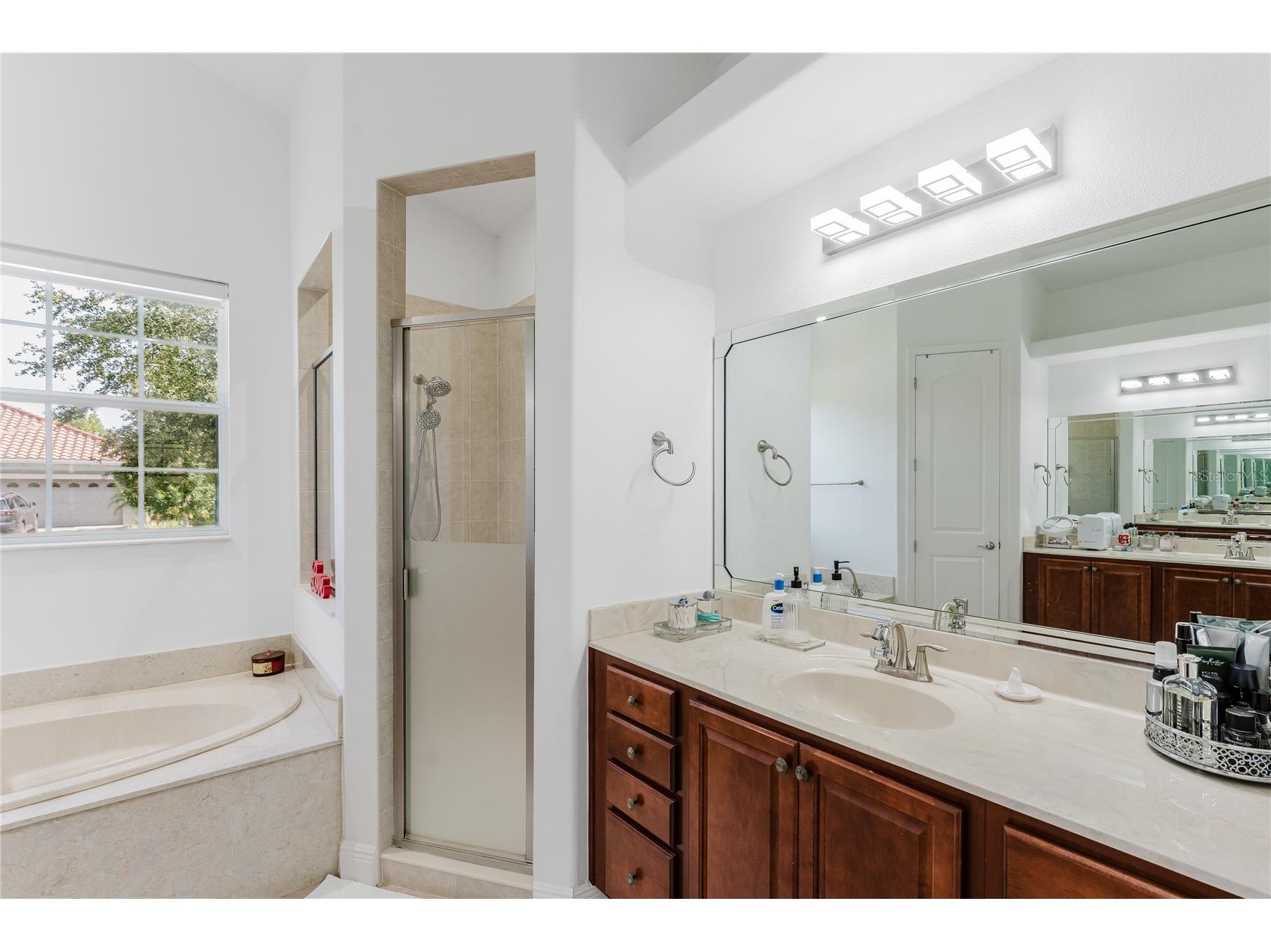 2591 Swoop Circle Kissimmee FL 34741 O6382854 image35