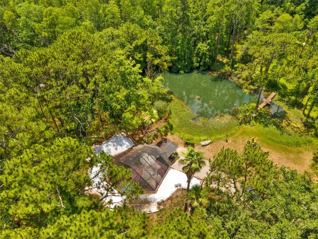 25910 Queen Sago Place Wesley Chapel FL 33544 T3312493 image1