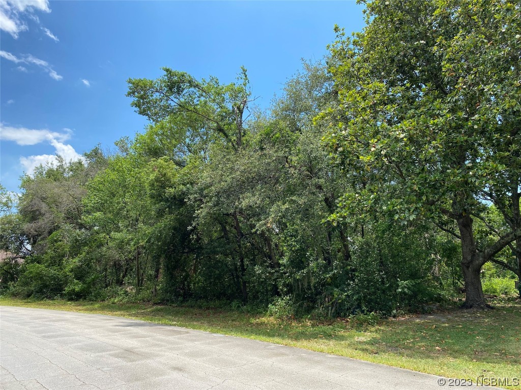 2592 Valmora Court Deltona FL 32738 NS1074798 image1