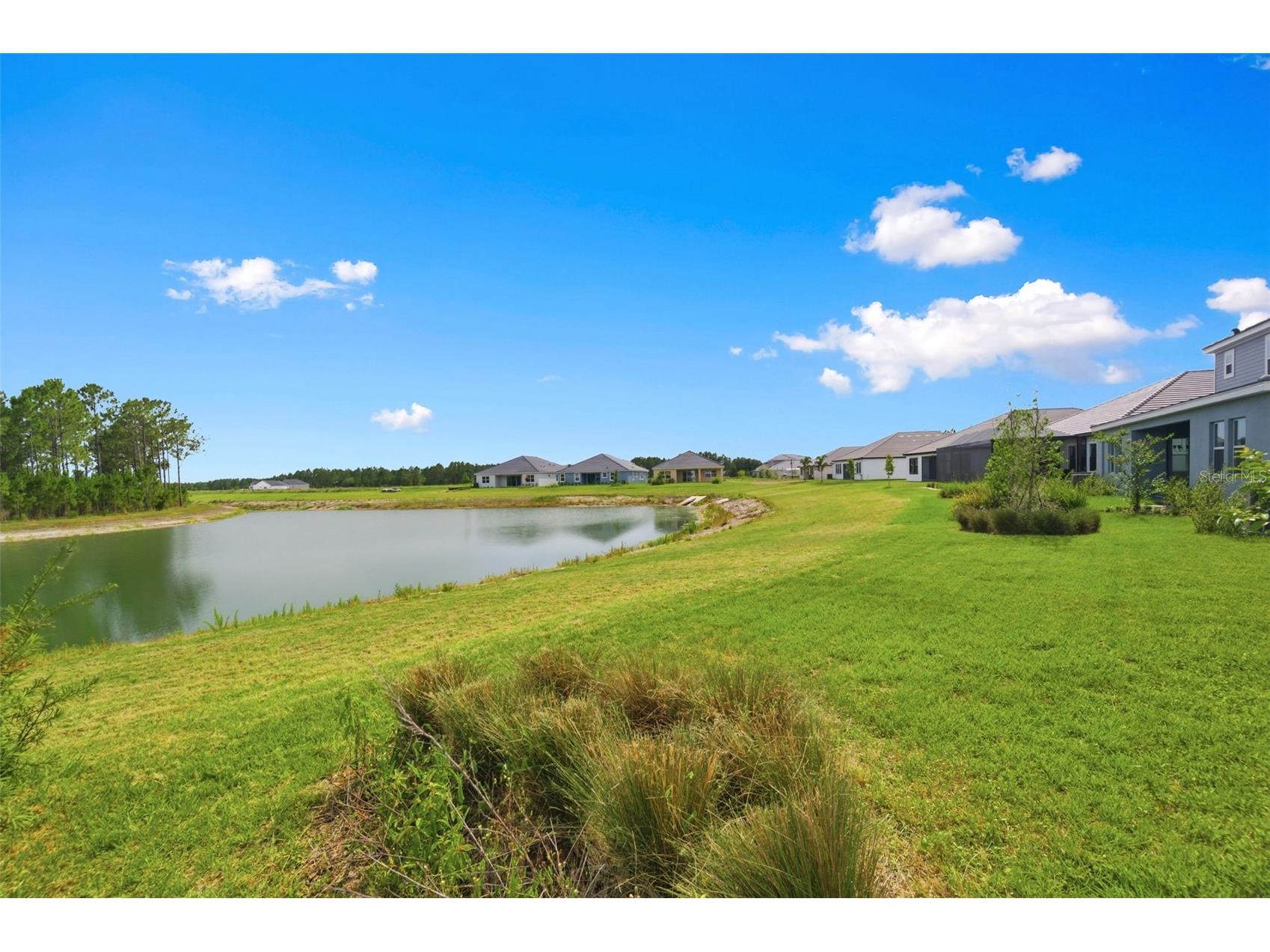 2592 Wise River Lane Zephyrhills FL 33541 W7886619 image53