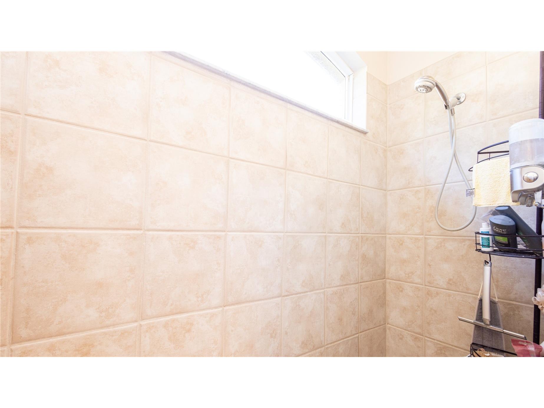 25921 San Rafael Court Howey In The Hills FL 34737 O6367943 image18