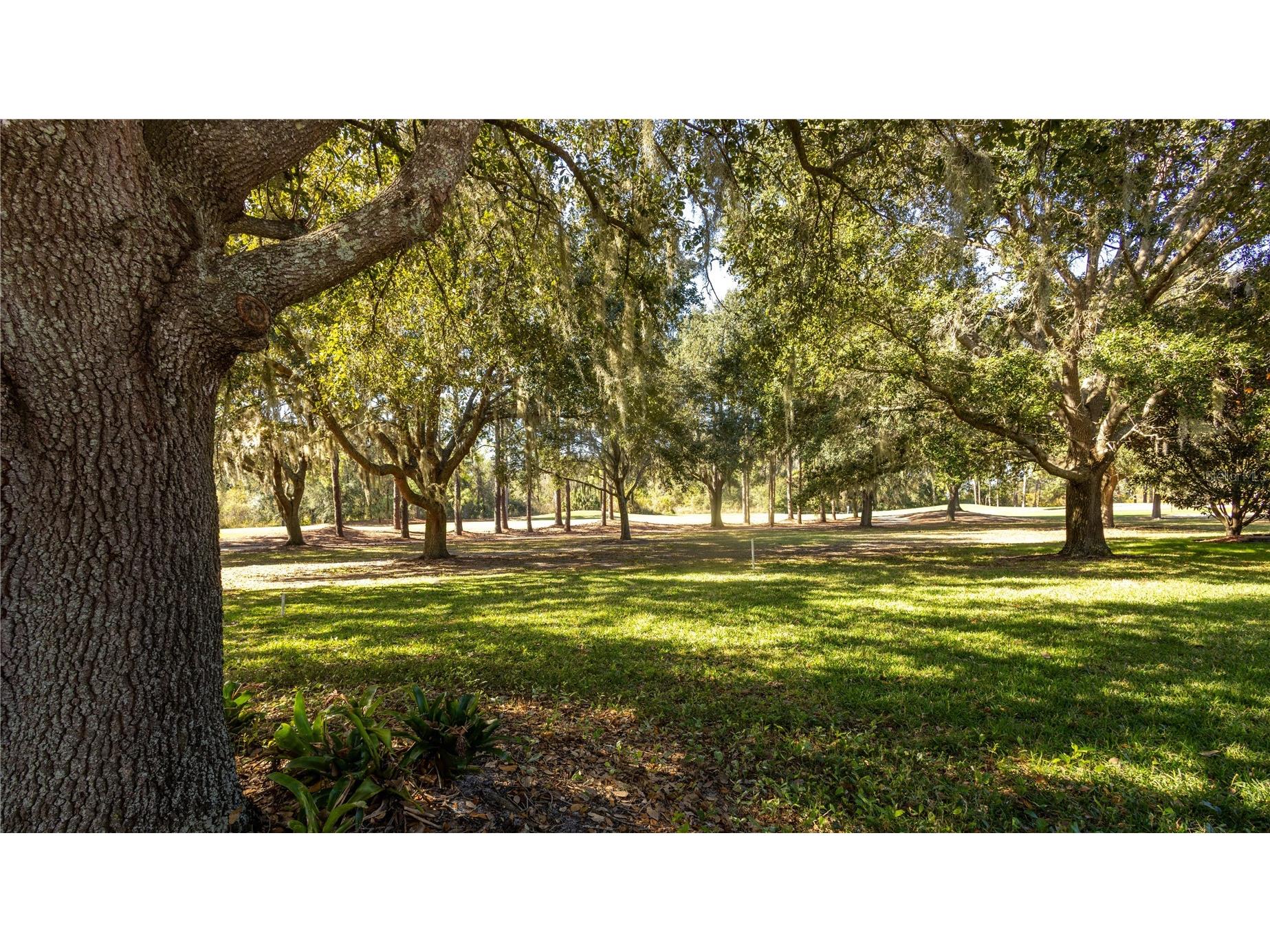 25921 San Rafael Court Howey In The Hills FL 34737 O6367943 image29