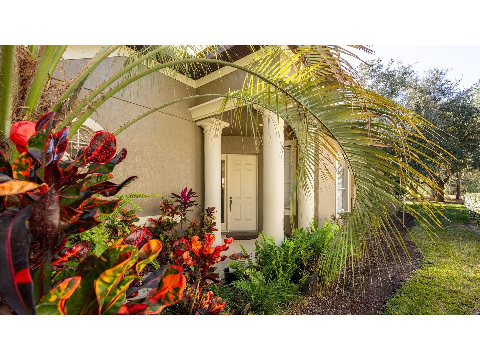 25921 San Rafael Court Howey In The Hills FL 34737 O6367943 image5