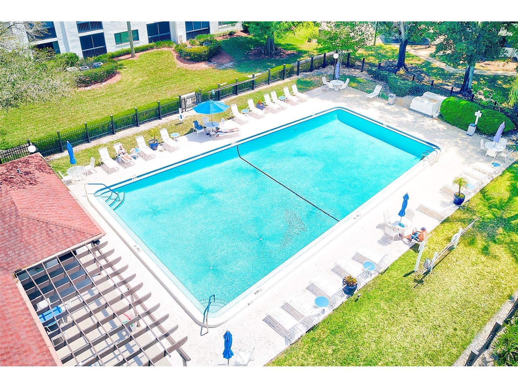 2593 Countryside Boulevard #7206 Clearwater FL 33761 TB8488533 image24