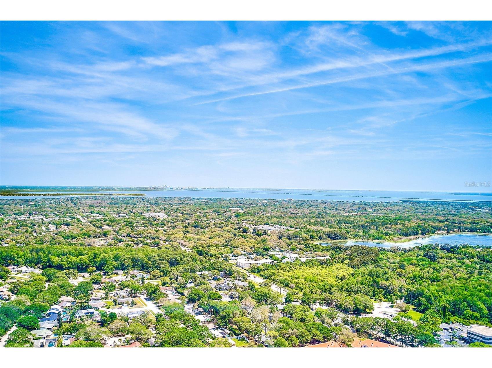 2593 Countryside Boulevard #7206 Clearwater FL 33761 TB8488533 image25