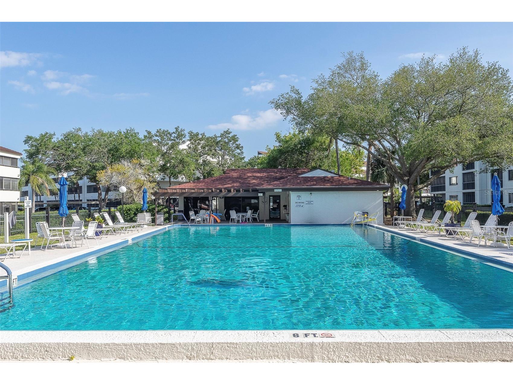 2593 Countryside Boulevard #7210 Clearwater FL 33761 TB8520256 image22