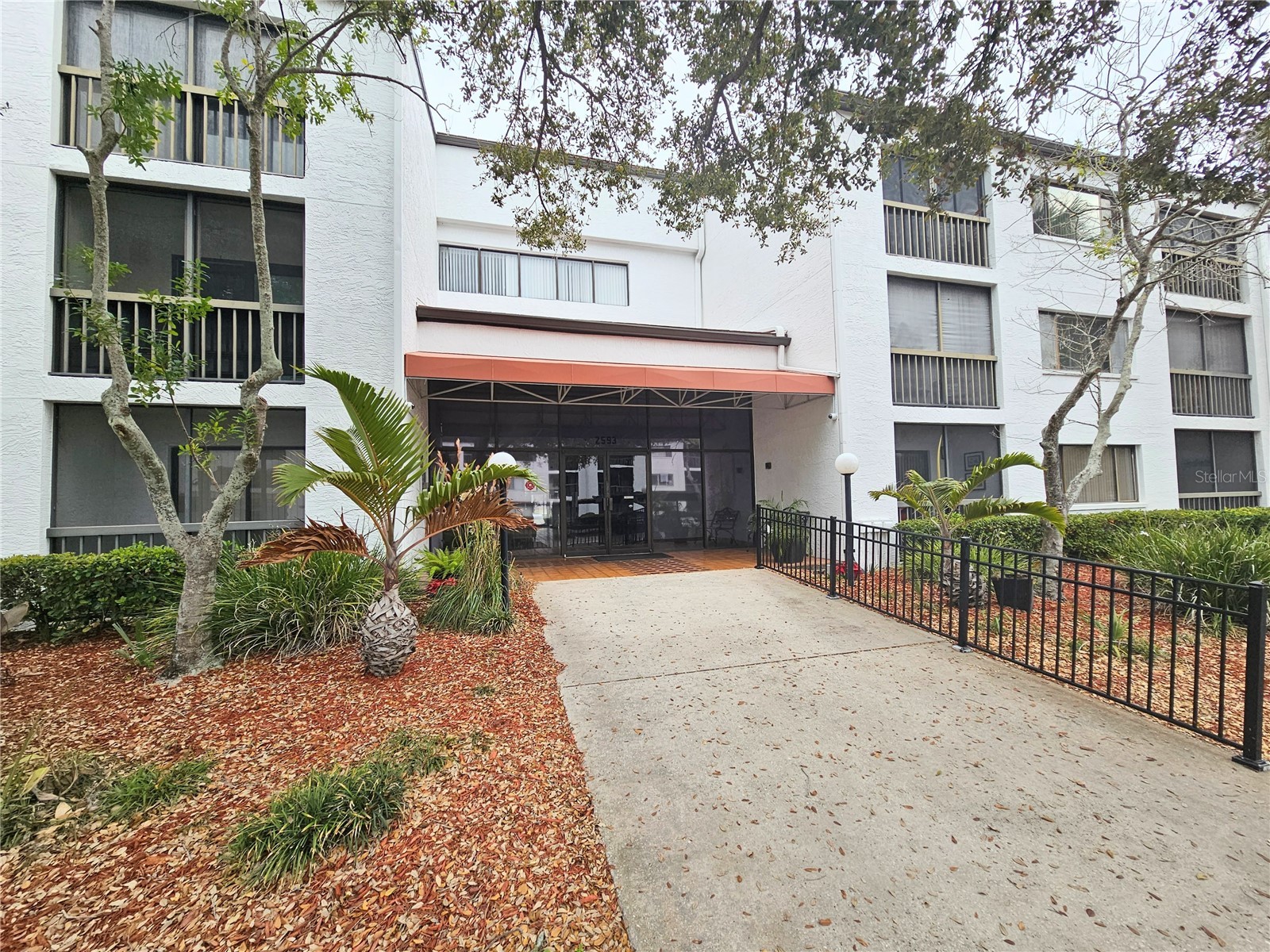 2593 Countryside Boulevard #7313 Clearwater FL 33761 TB8480315 image10