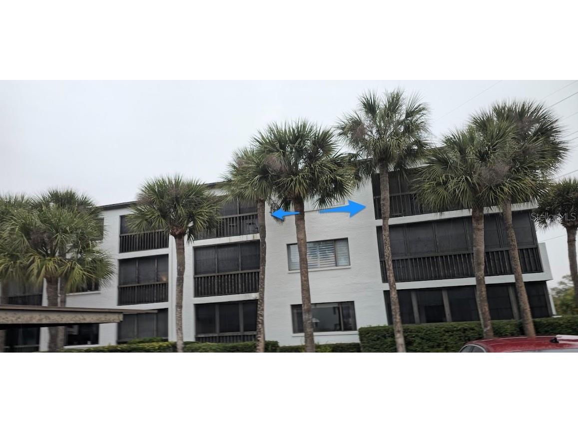 2593 Countryside Boulevard #7313 Clearwater FL 33761 TB8480315 image11