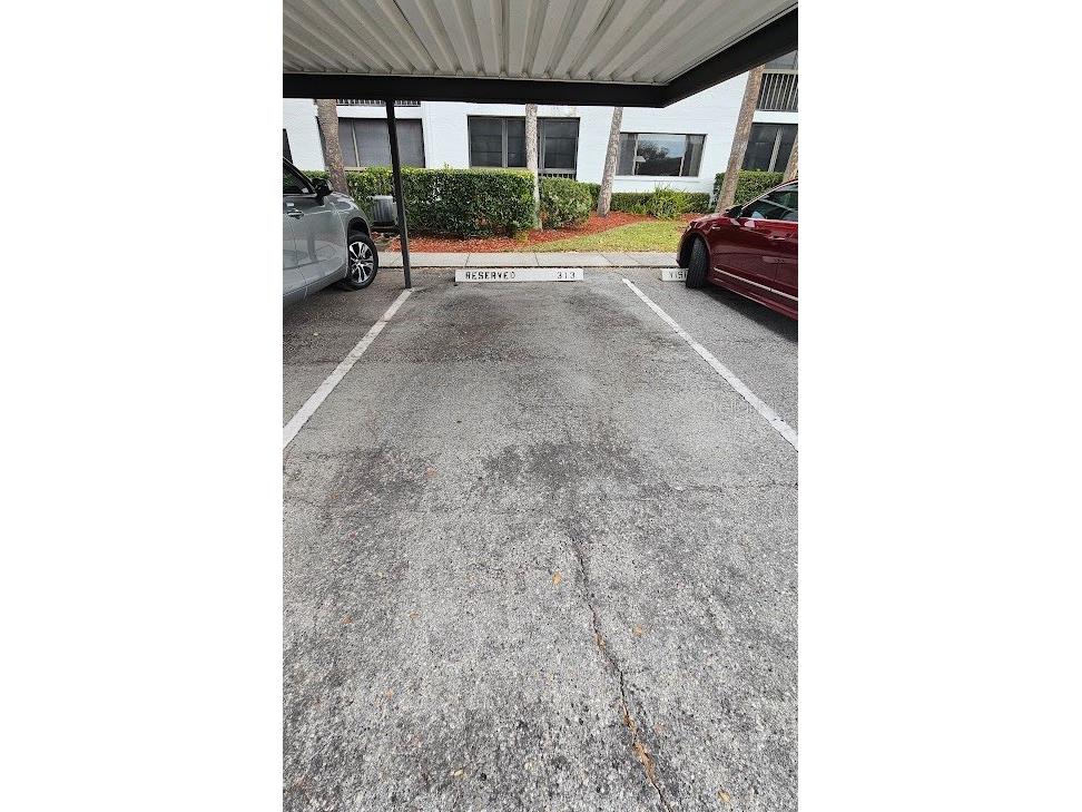 2593 Countryside Boulevard #7313 Clearwater FL 33761 TB8480315 image12