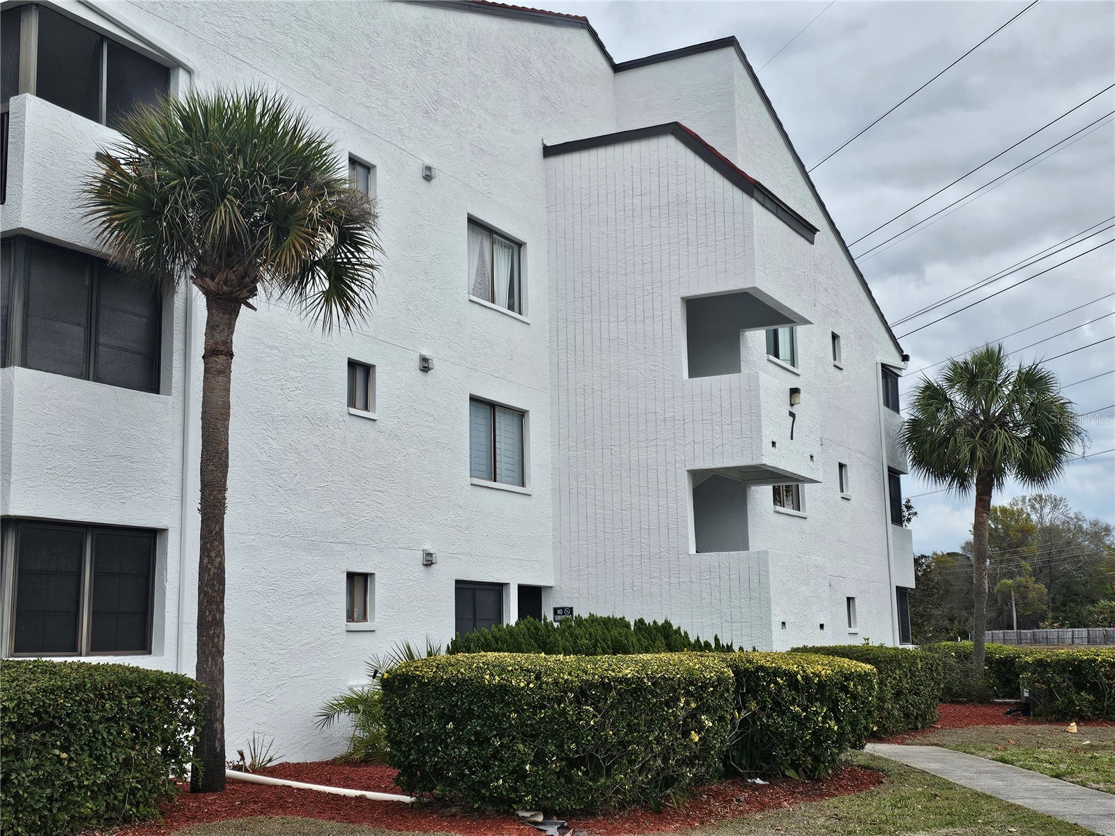 2593 Countryside Boulevard #7313 Clearwater FL 33761 TB8480315 image13
