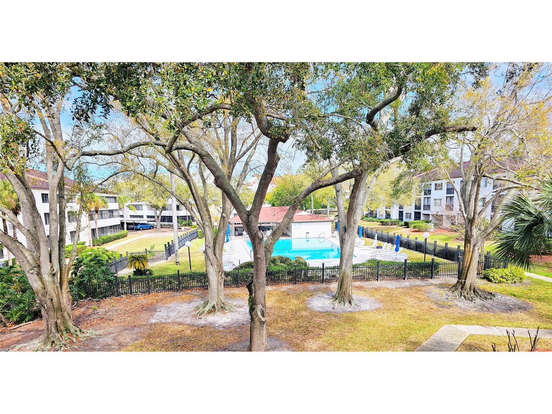 2593 Countryside Boulevard #7313 Clearwater FL 33761 TB8480315 image14