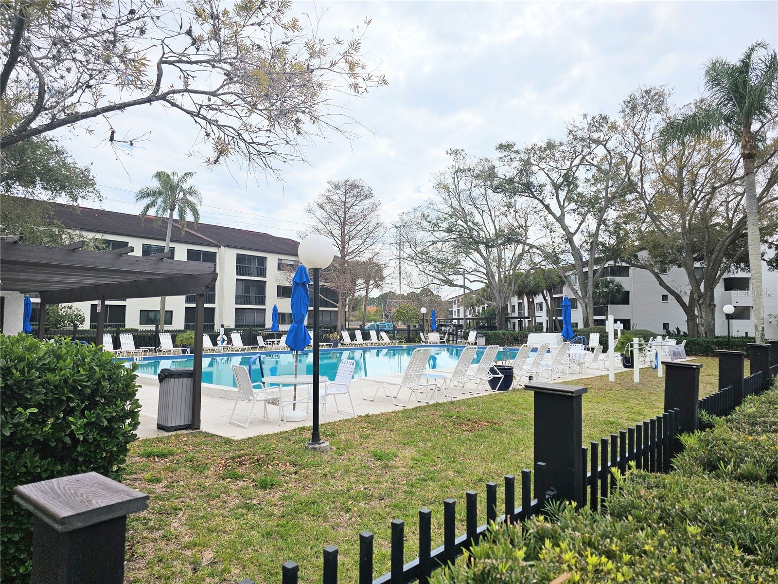2593 Countryside Boulevard #7313 Clearwater FL 33761 TB8480315 image7