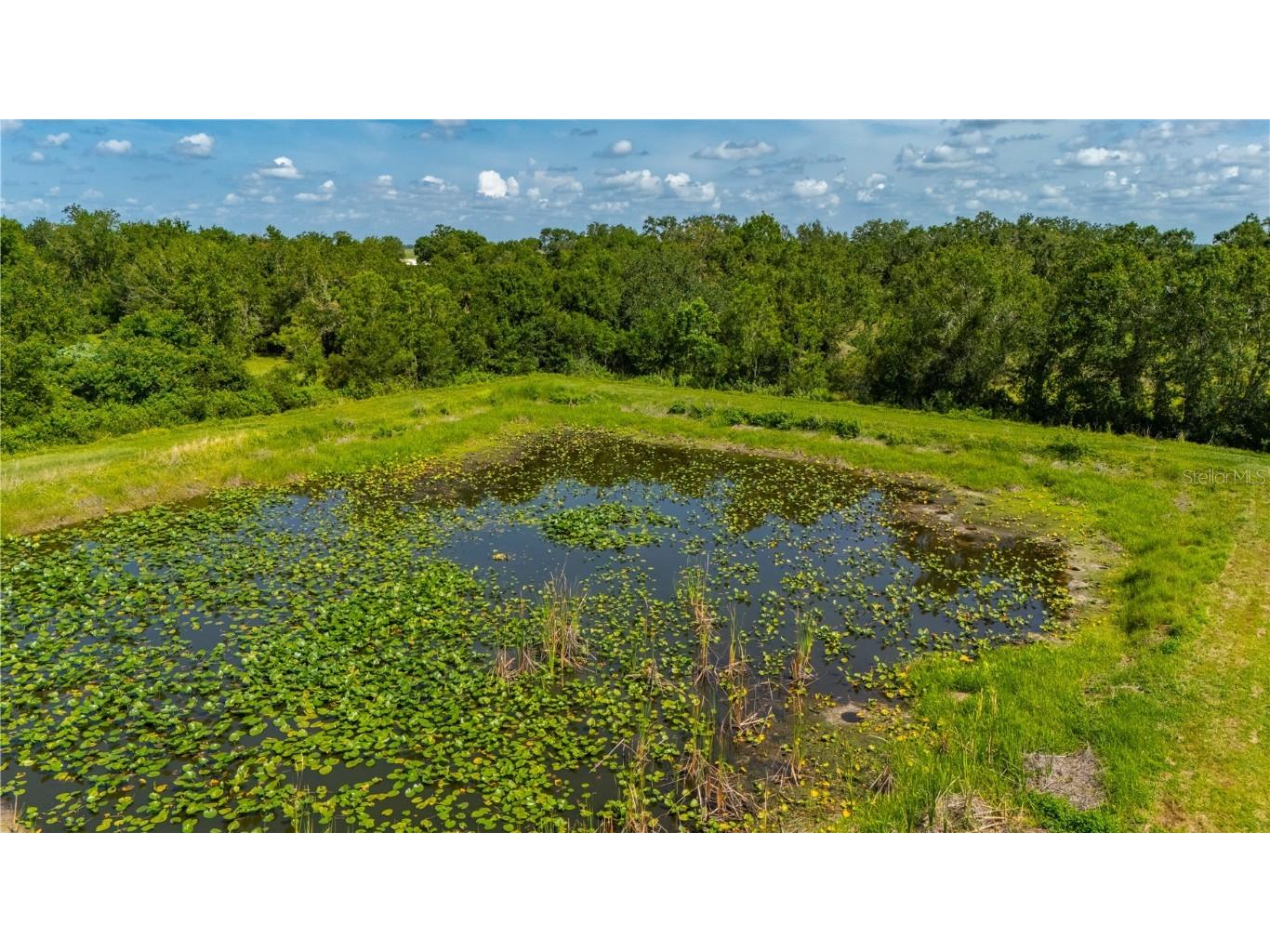 2593 NW Genes Little Acres Avenue Arcadia FL 34266 C7510885 image15