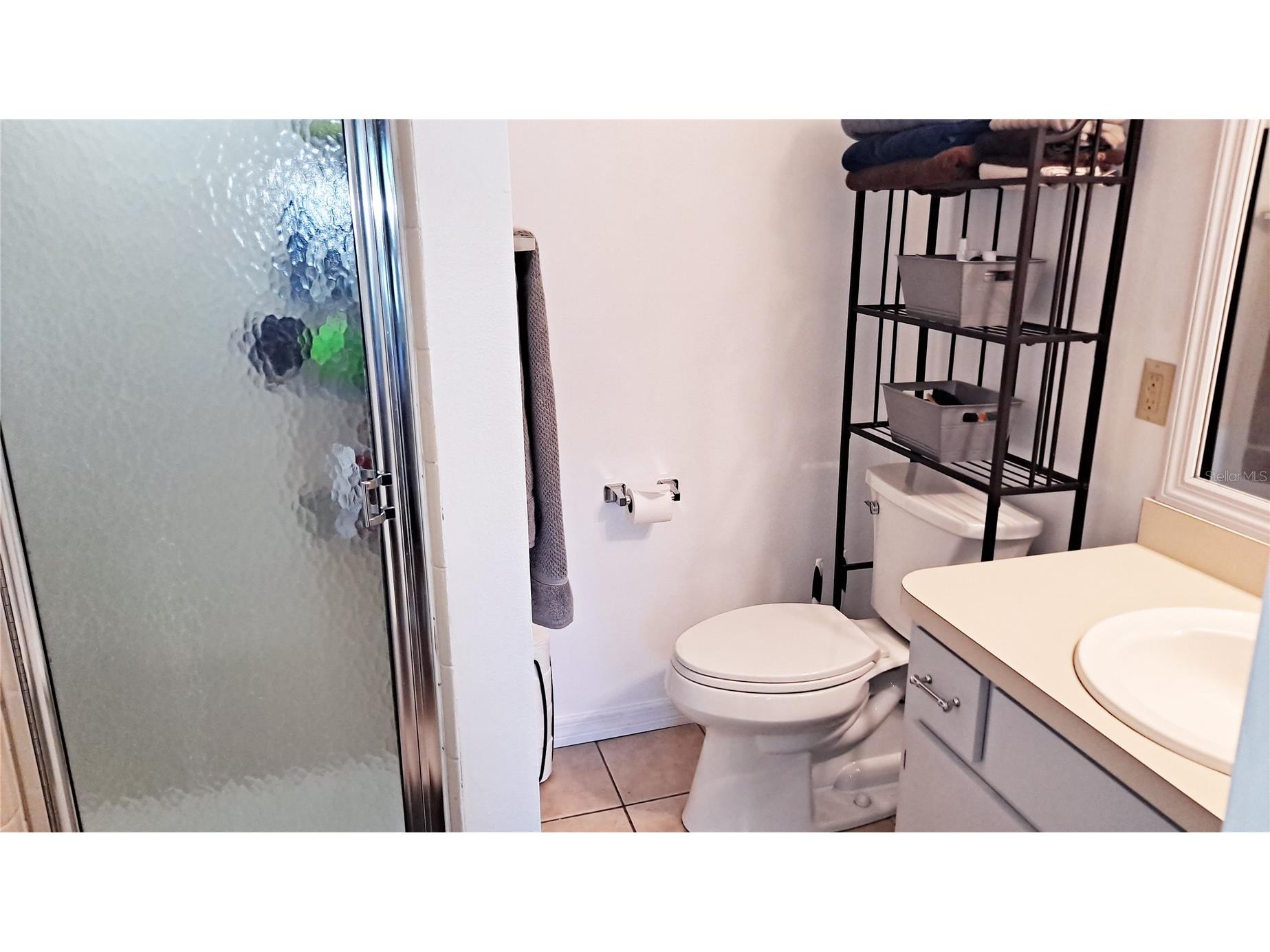 25930 Sackamaxon Drive Sorrento FL 32776 O6398412 image11
