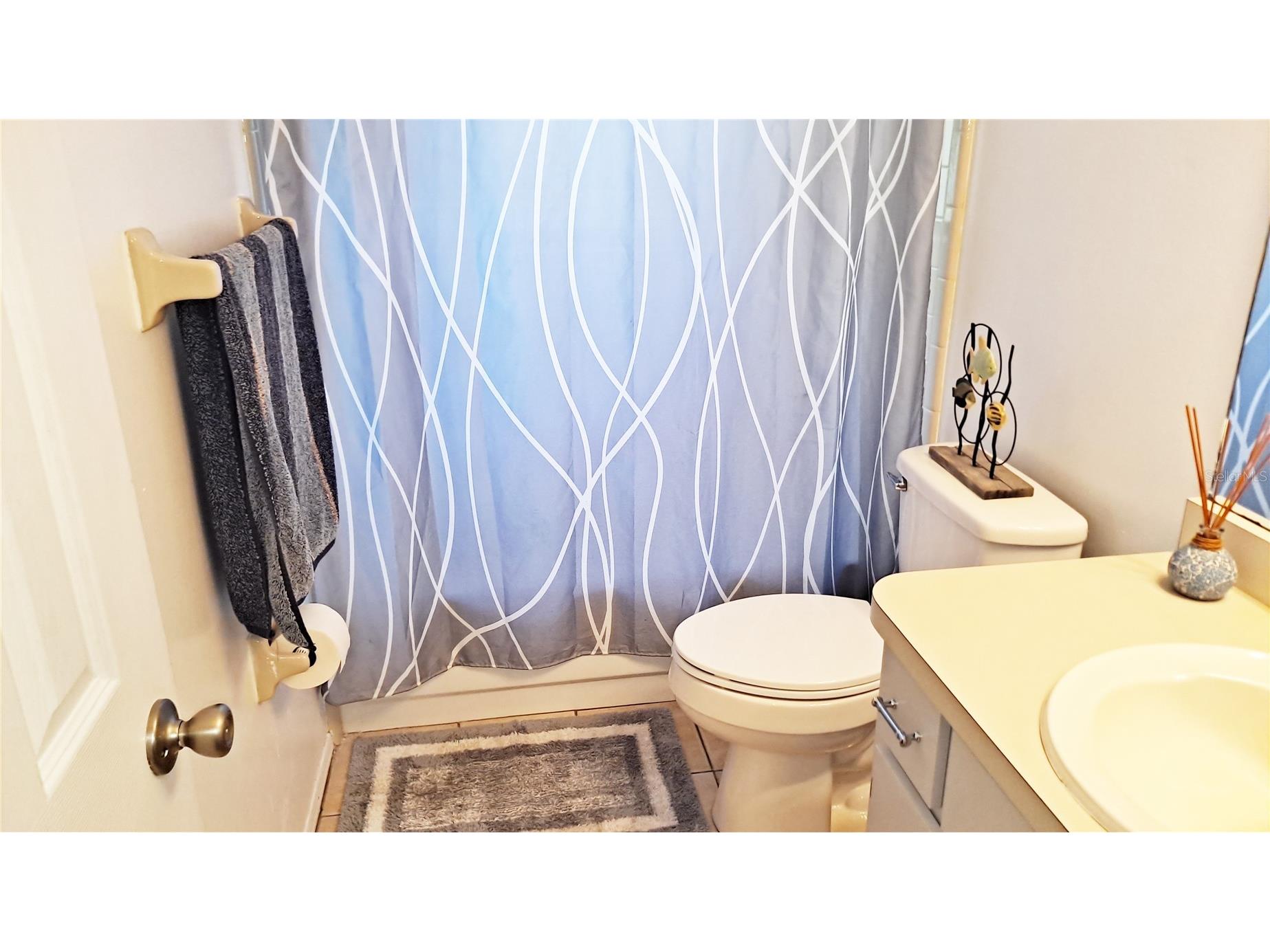 25930 Sackamaxon Drive Sorrento FL 32776 O6398412 image14