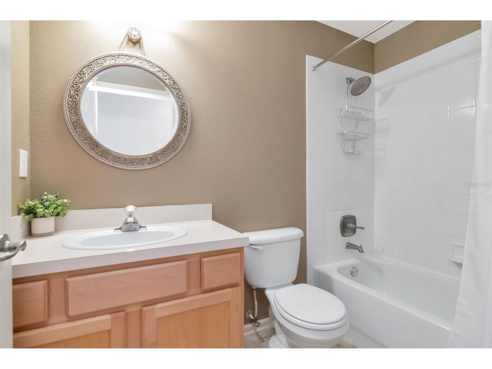 25944 Winning Colors Way Wesley Chapel FL 33544 A4692987 image22