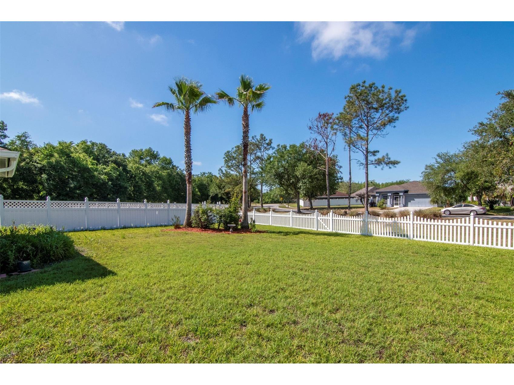 25944 Winning Colors Way Wesley Chapel FL 33544 A4692987 image36