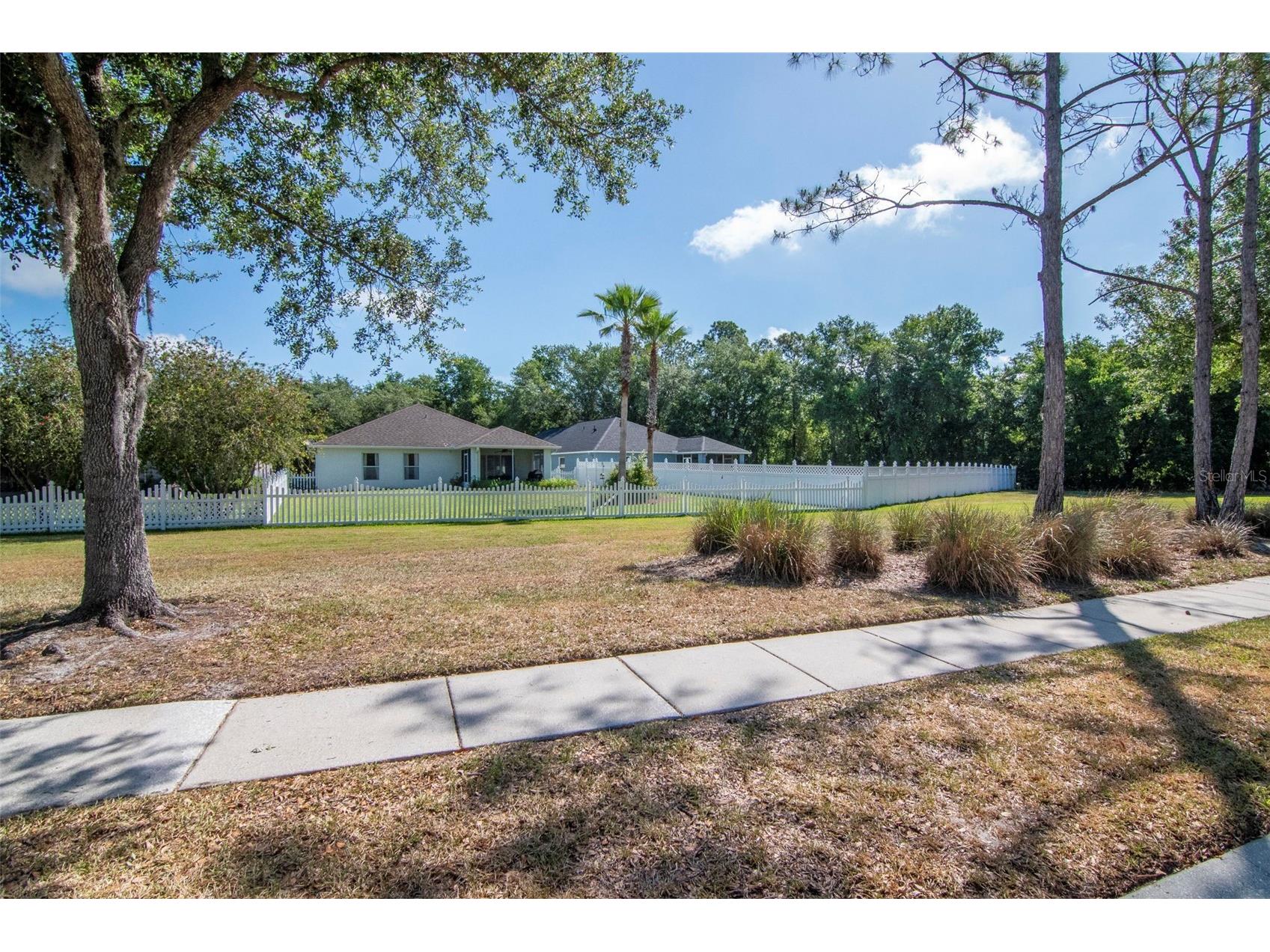 25944 Winning Colors Way Wesley Chapel FL 33544 A4692987 image38