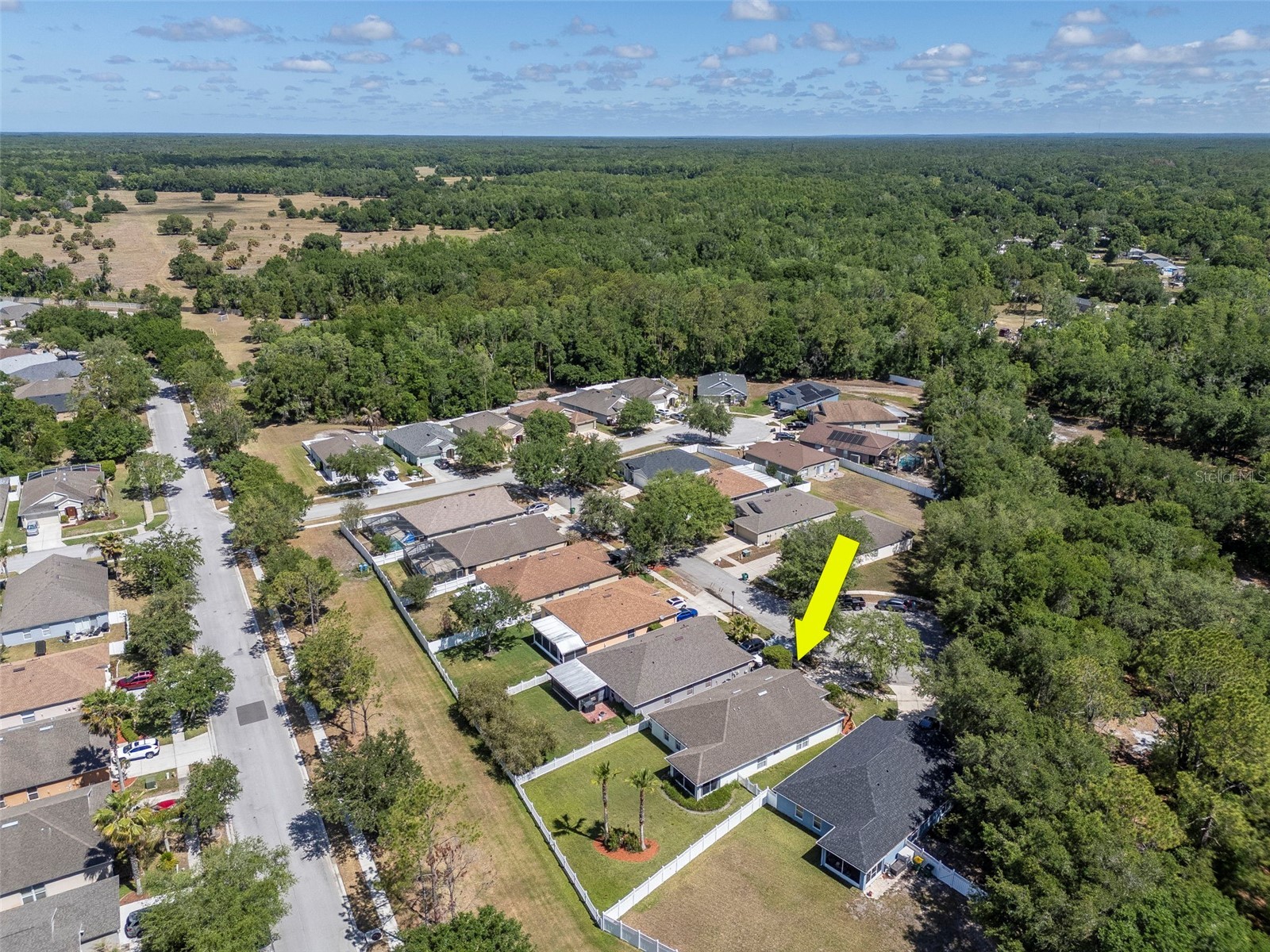 25944 Winning Colors Way Wesley Chapel FL 33544 A4692987 image39