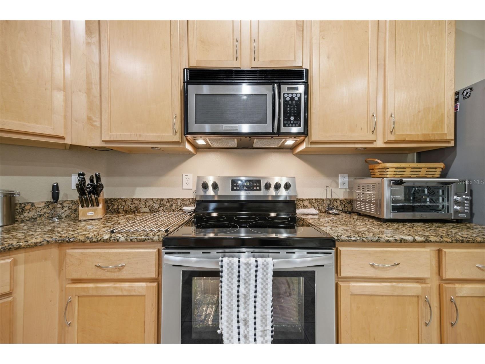 25946 Risen Star Drive Wesley Chapel FL 33544 TB8508403 image14