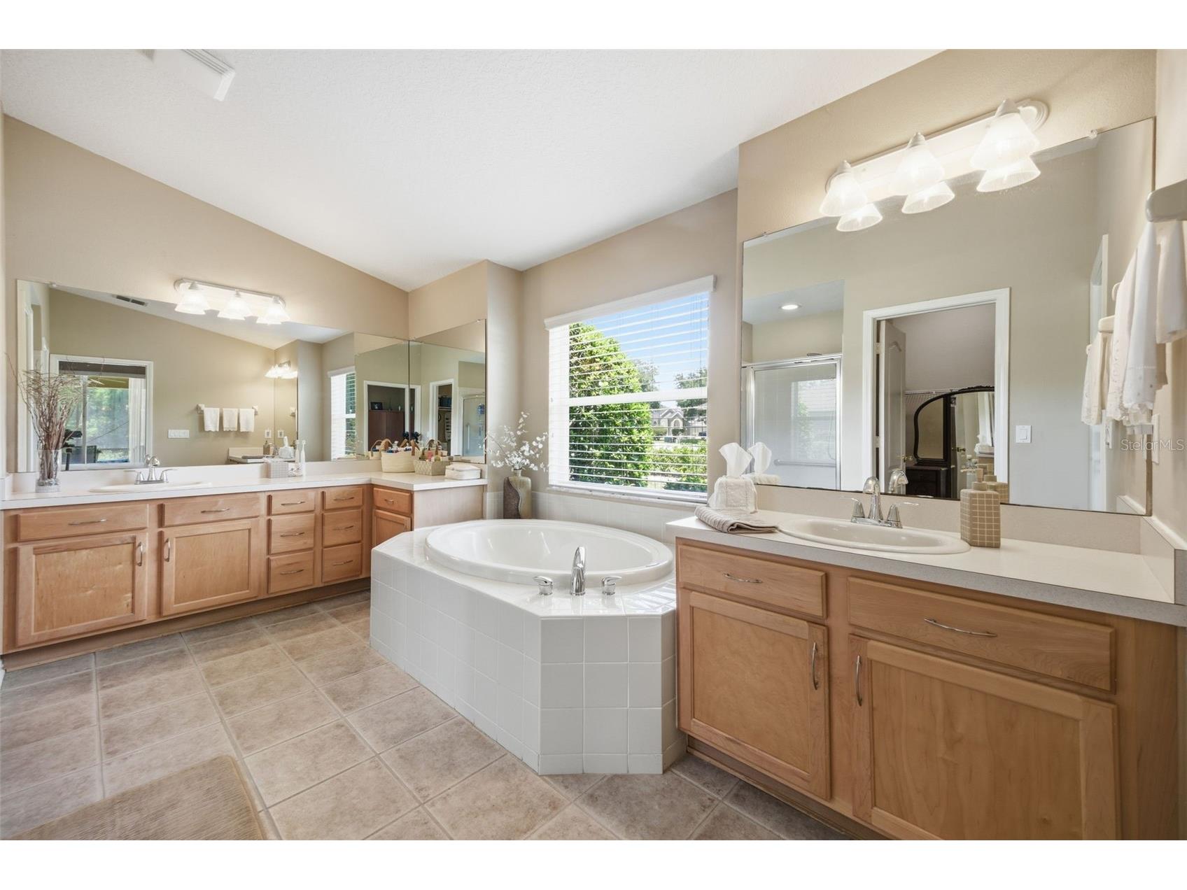25946 Risen Star Drive Wesley Chapel FL 33544 TB8508403 image23