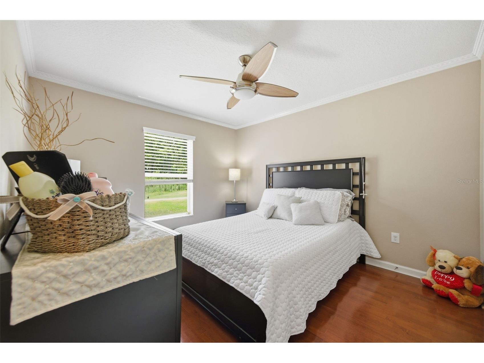 25946 Risen Star Drive Wesley Chapel FL 33544 TB8508403 image26