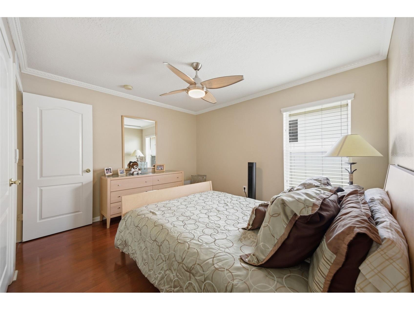25946 Risen Star Drive Wesley Chapel FL 33544 TB8508403 image30