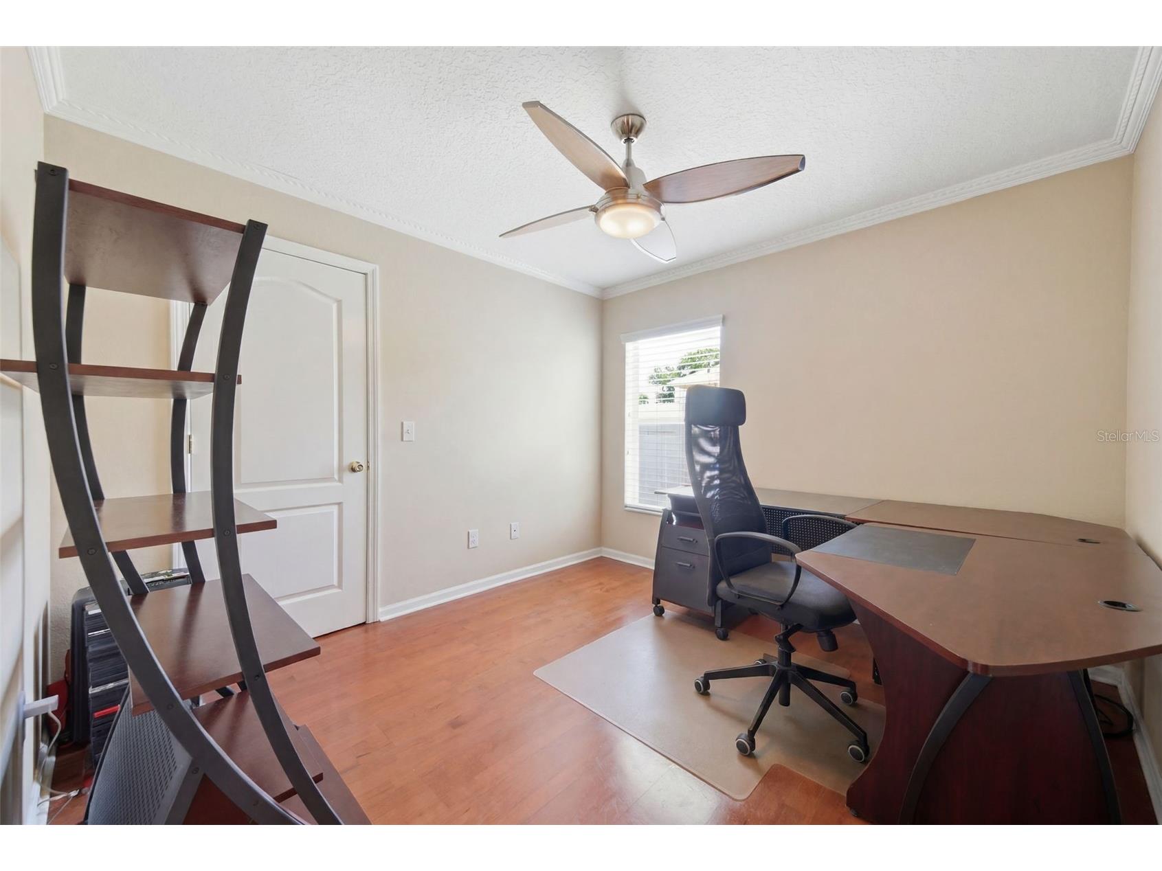 25946 Risen Star Drive Wesley Chapel FL 33544 TB8508403 image31