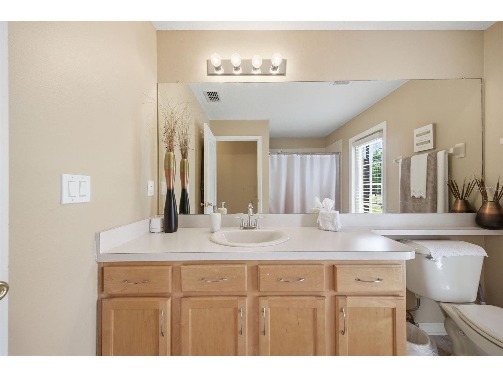 25946 Risen Star Drive Wesley Chapel FL 33544 TB8508403 image33