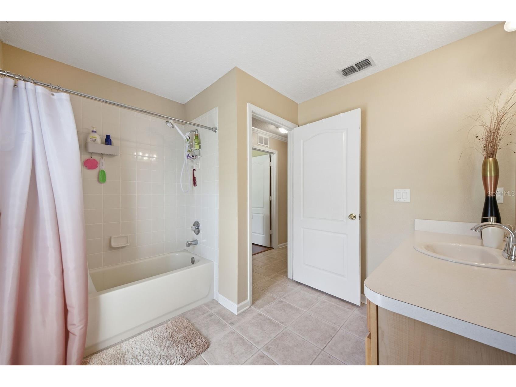 25946 Risen Star Drive Wesley Chapel FL 33544 TB8508403 image35