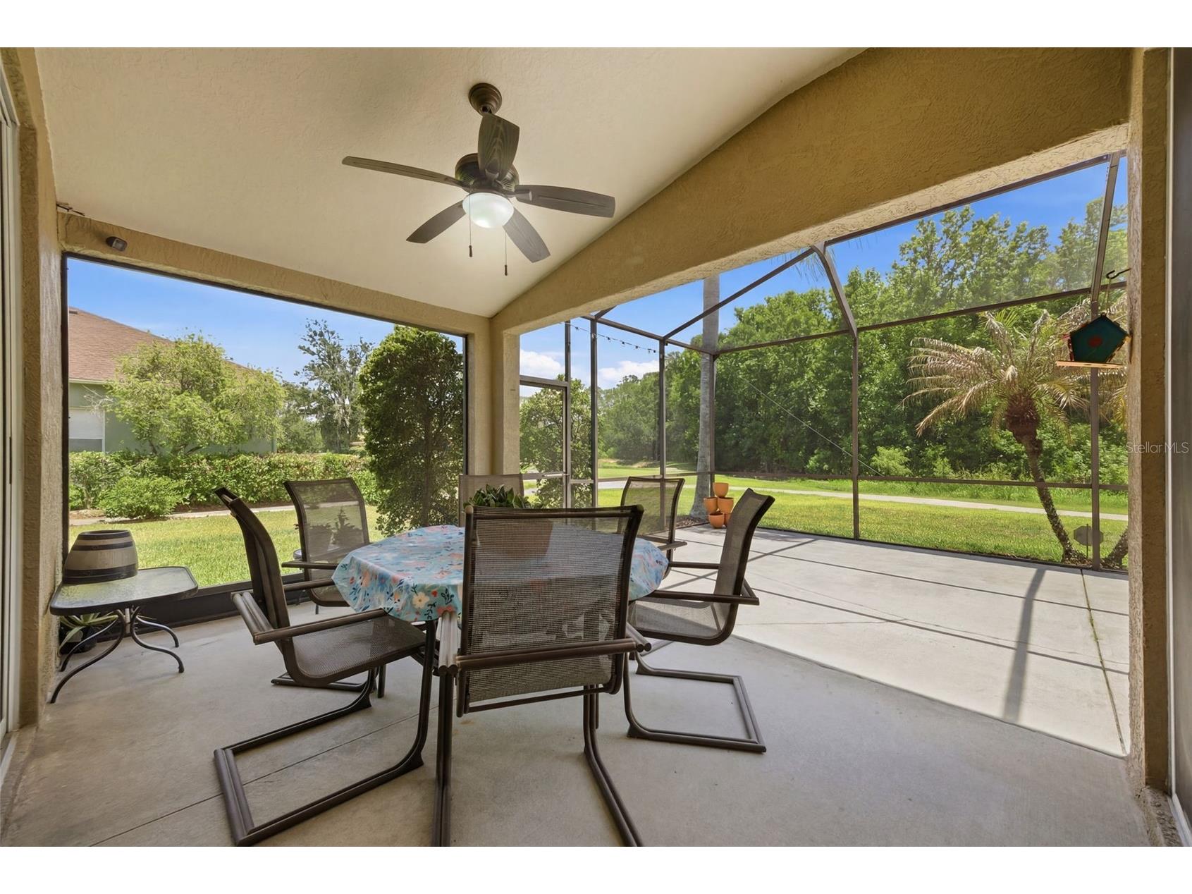 25946 Risen Star Drive Wesley Chapel FL 33544 TB8508403 image40