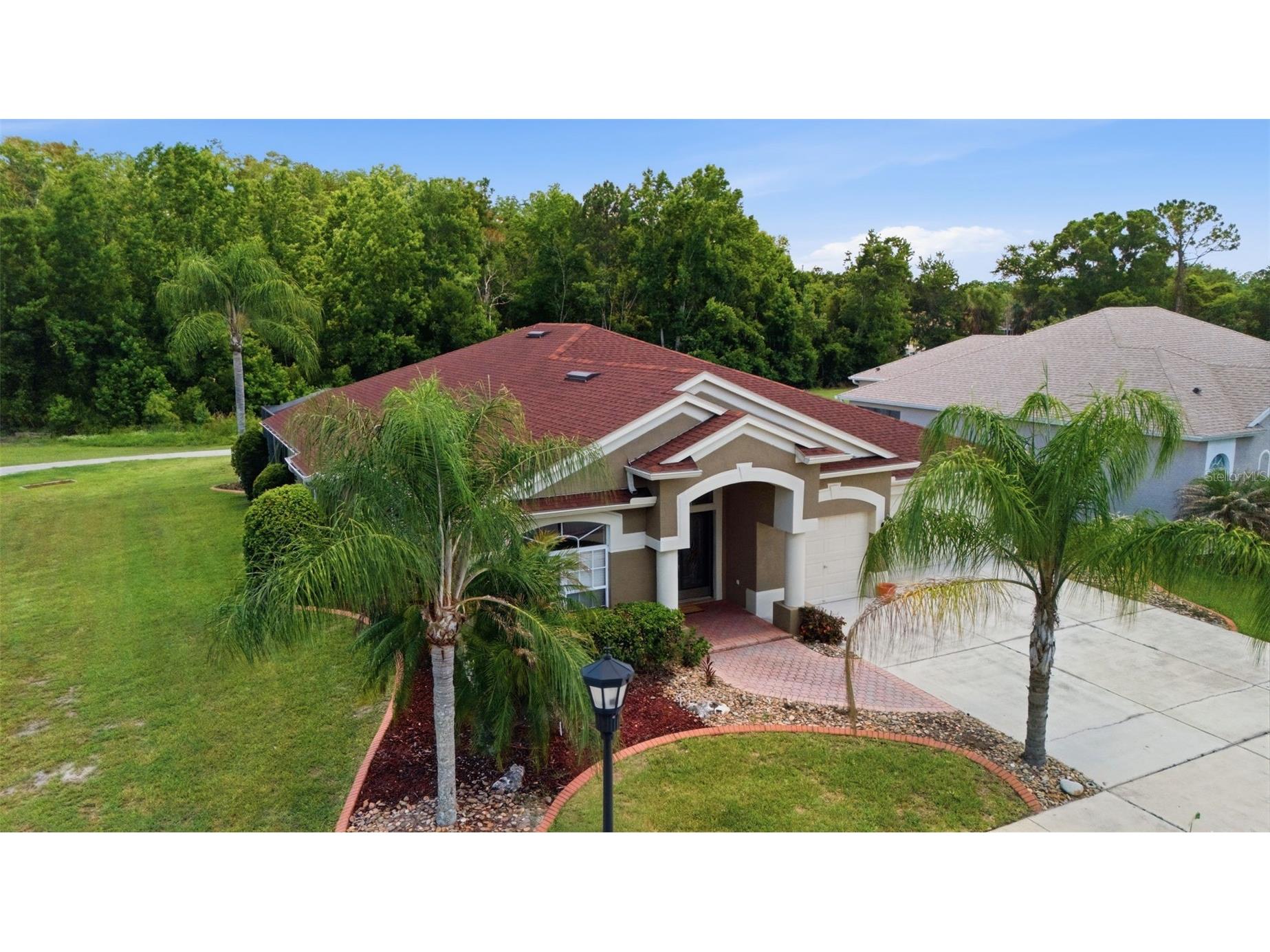 25946 Risen Star Drive Wesley Chapel FL 33544 TB8508403 image47
