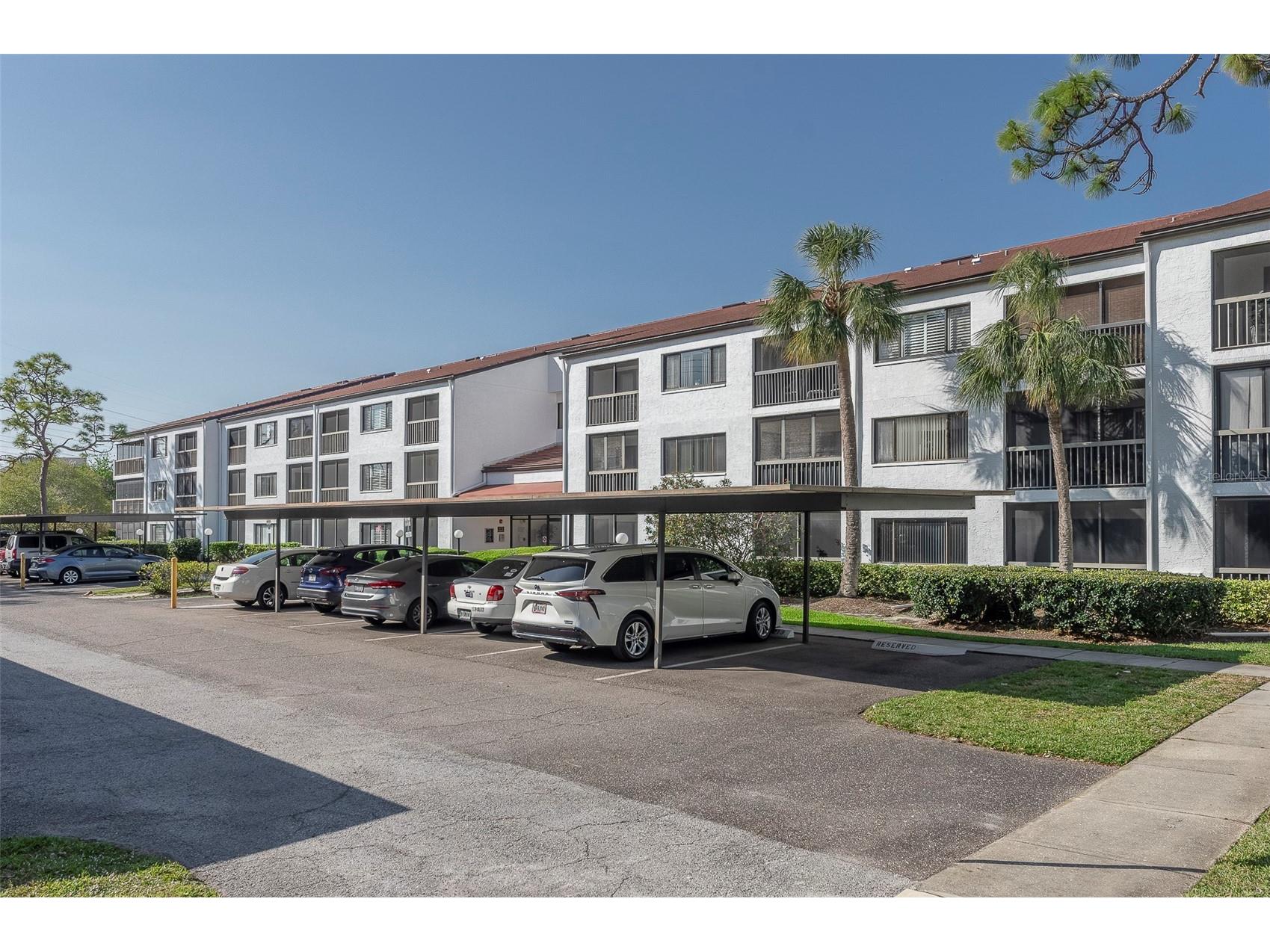 2595 Countryside Boulevard #8311 Clearwater FL 33761 TB8481825 image1